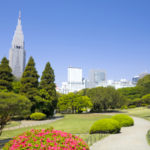 外国人「先週から花粉症がひどくなったよ」日本で花粉症を発症した外国人の反応！